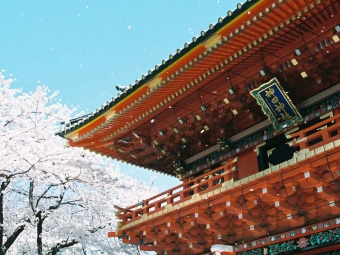 崇敬会春まつり