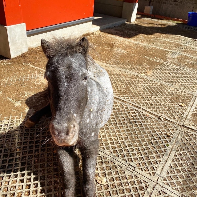 あかり写真グランプリを開催！